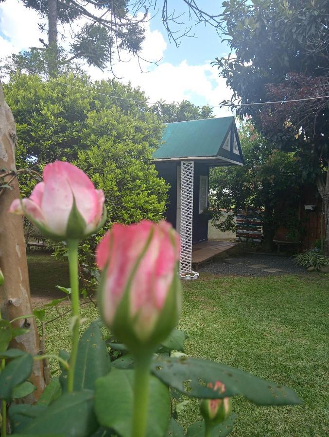 Mini House Park Hotel Campo Alegre  Exterior photo